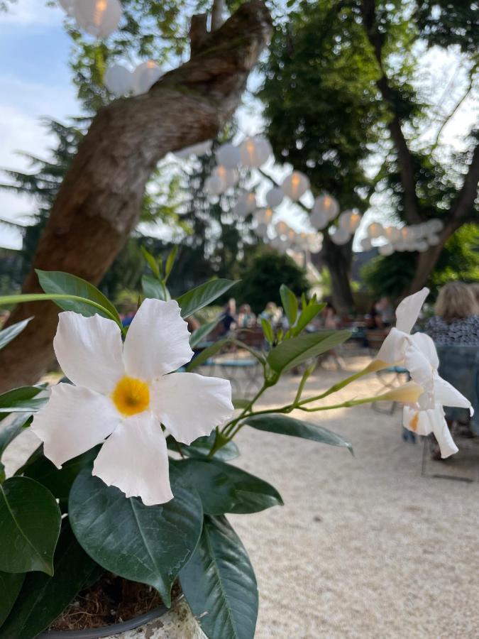 Weinhotel Koegler Eltville am Rhein Extérieur photo